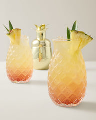 Viski Pacific Pineapple 18-oz. Glasses - Set of 2 - Clear