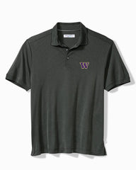 Big & Tall Collegiate Bay Stripe IslandZone Polo - washington