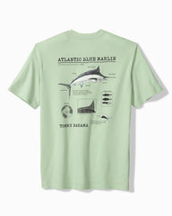 Big & Tall For Your Finformation Graphic T-Shirt - Silky Green