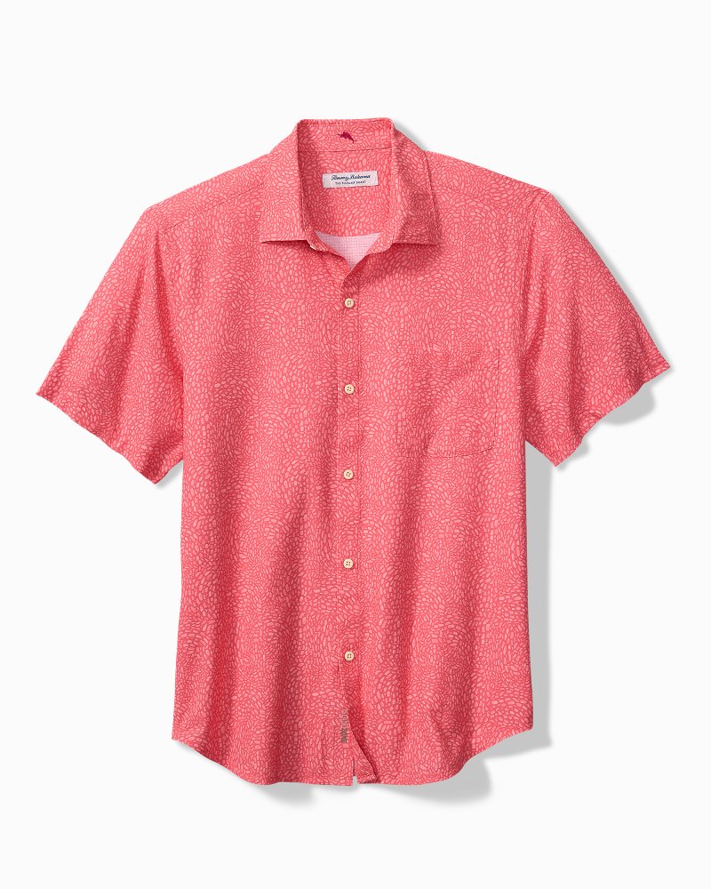 Big & Tall Bahama Coast Dot Drift IslandZone Shirt - Quartz Pink