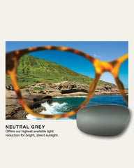 Hau'oli X-Large Sunglasses by Maui Jim - Grey