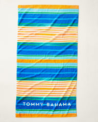 Beach Picnic & Painterly Pineapple Beach Towels - Set of 2 - Multicolor