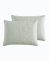 Solid Costa Sera 2-Piece King Quilted Sham Set - Green