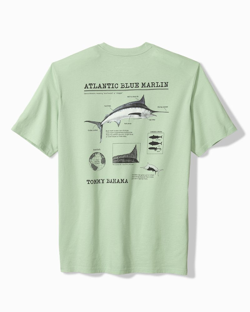 For Your Finformation Graphic T-Shirt - Silky Green