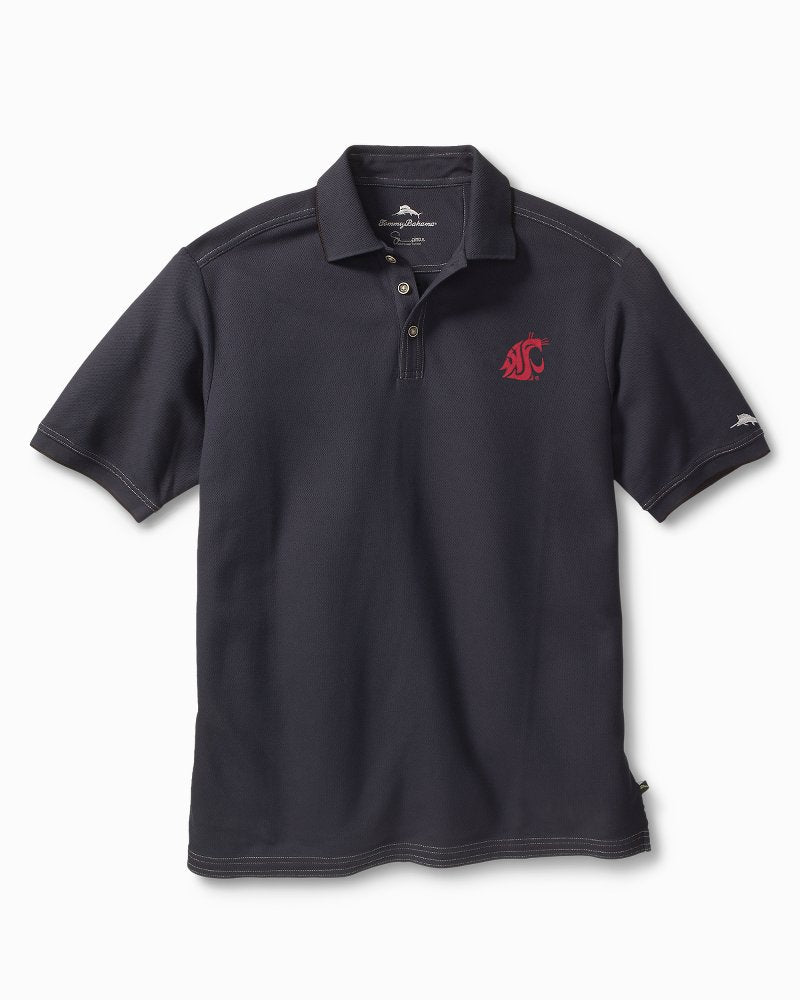 Collegiate Emfielder IslandZone Polo - washington_state