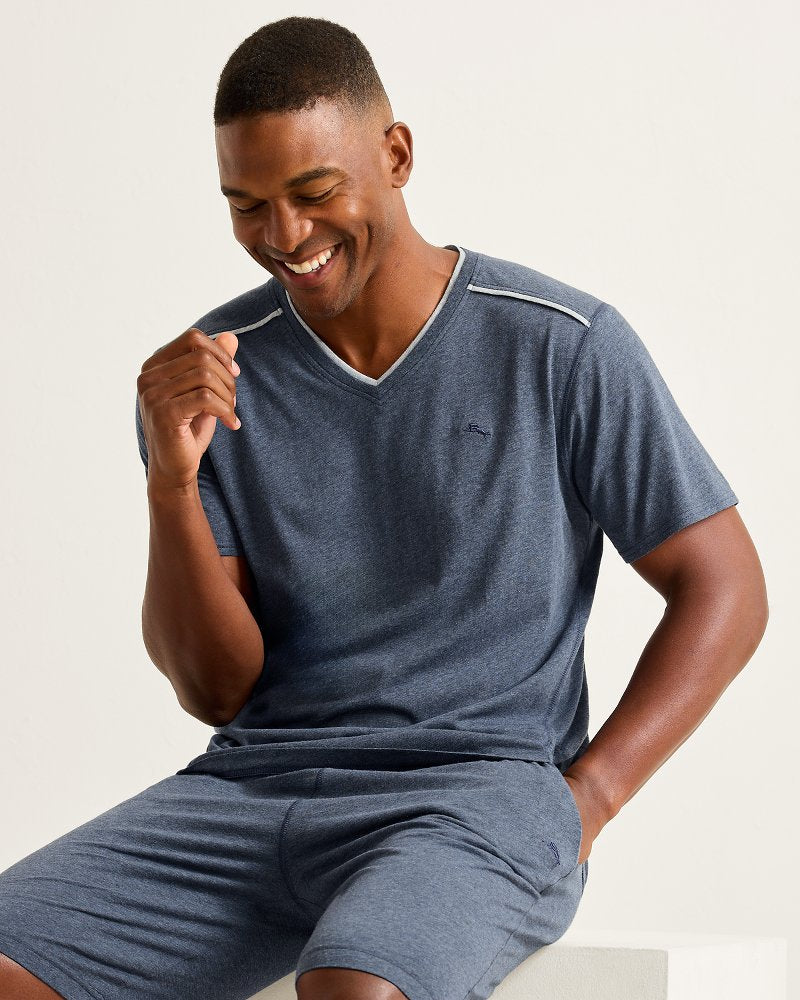 Big & Tall Jersey Short-Sleeve V-Neck T-Shirt - Heathered Blue