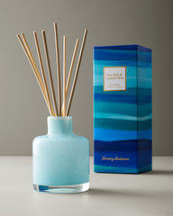 Sea Salt and Coastal Mist Reed Diffuser - Multicolor