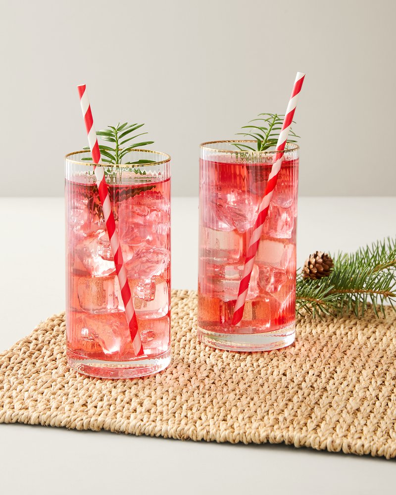 Optic Highball Glasses - Set of 2 - Clear