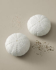 Sea Urchin Salt & Pepper Set - White