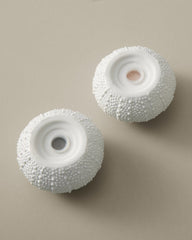 Sea Urchin Salt & Pepper Set - White
