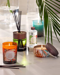 Maui Mango Boxed Poured 7.5-oz. Candle - Maui Mango