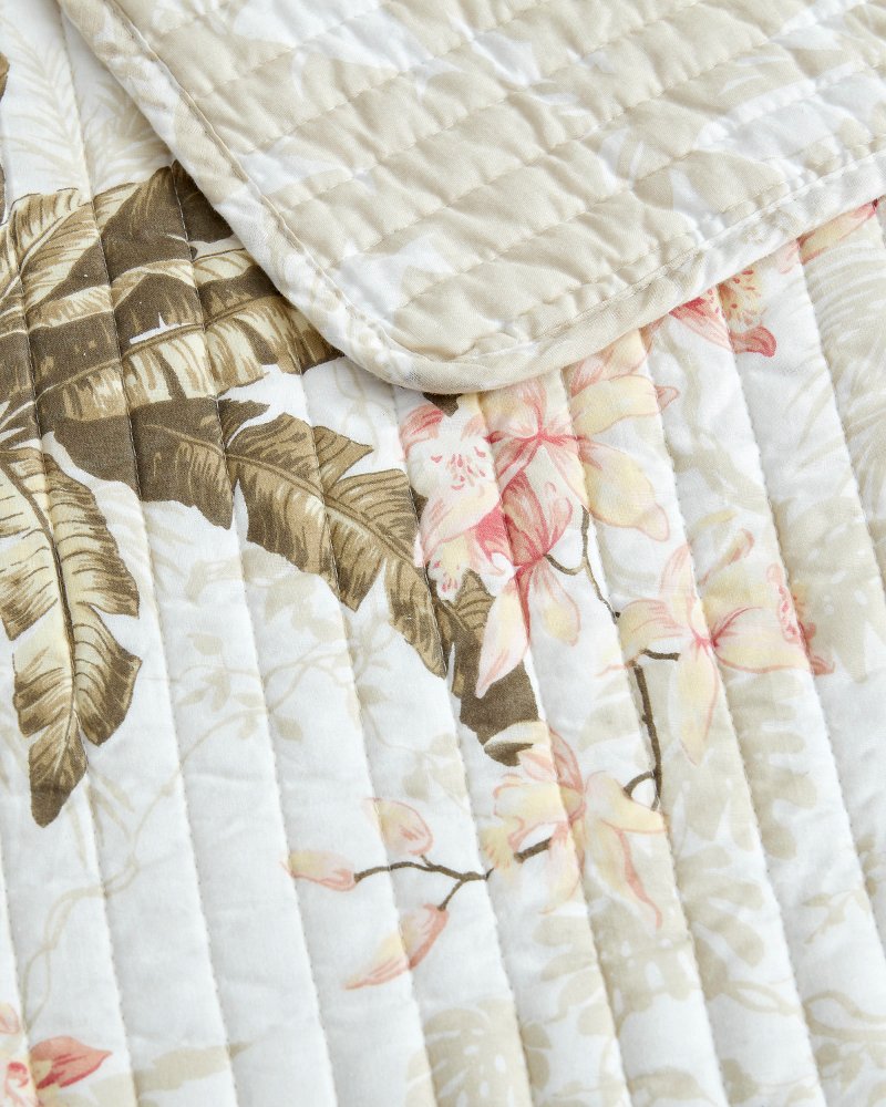 Bonny Cove 3-Piece Full/Queen Quilt Set - White