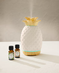 Pineapple Cilantro Ceramic Pineapple Diffuser Oil Refill Set - Pineapple Cilantro