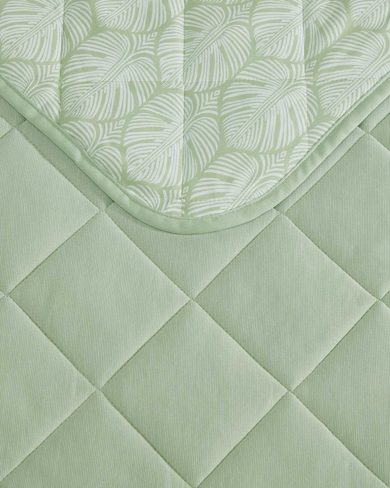 Cool Zone Full/Queen Throw Blanket - Light Green