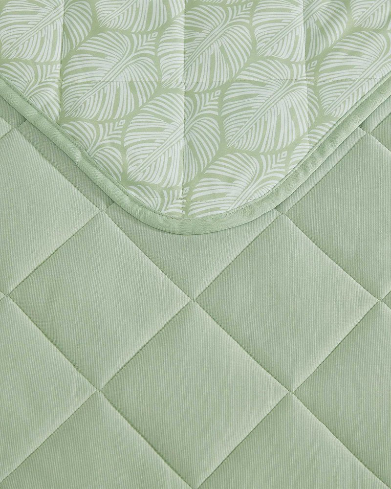 Cool Zone King Throw Blanket - Light Green
