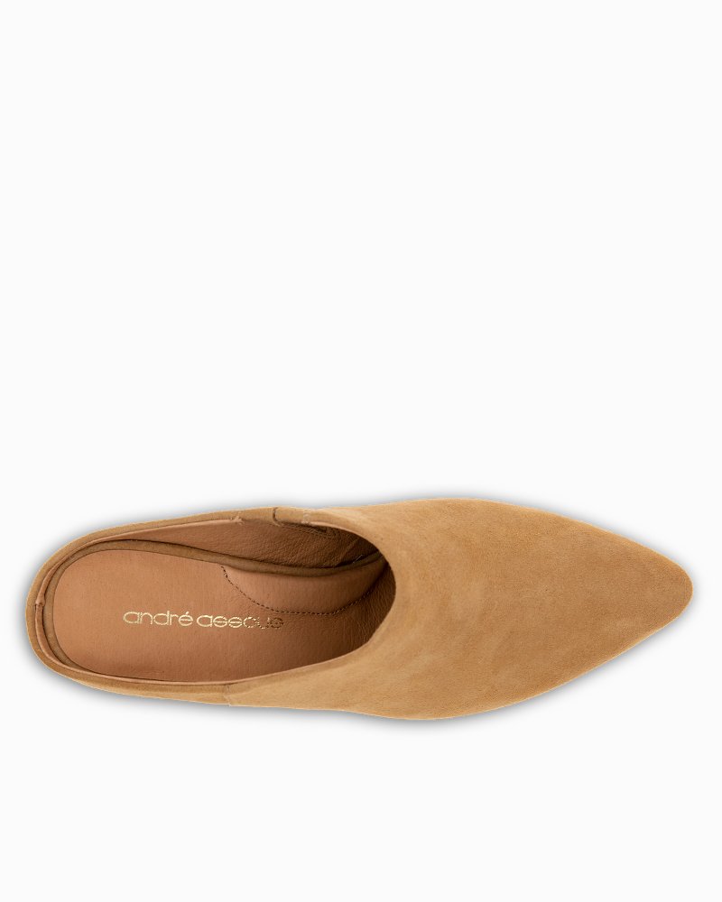 André Assous Wyatt Suede Mules - Biscuit