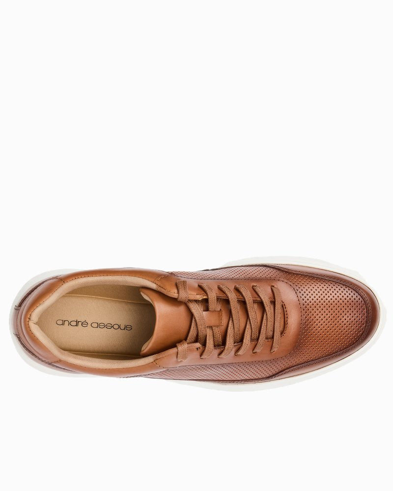 André Assous Andrew Cognac Leather Sneakers - Cognac