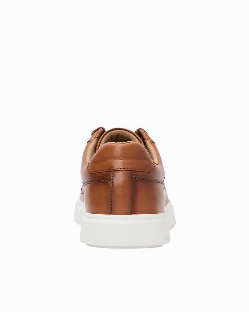 André Assous Andrew Cognac Leather Sneakers - Cognac