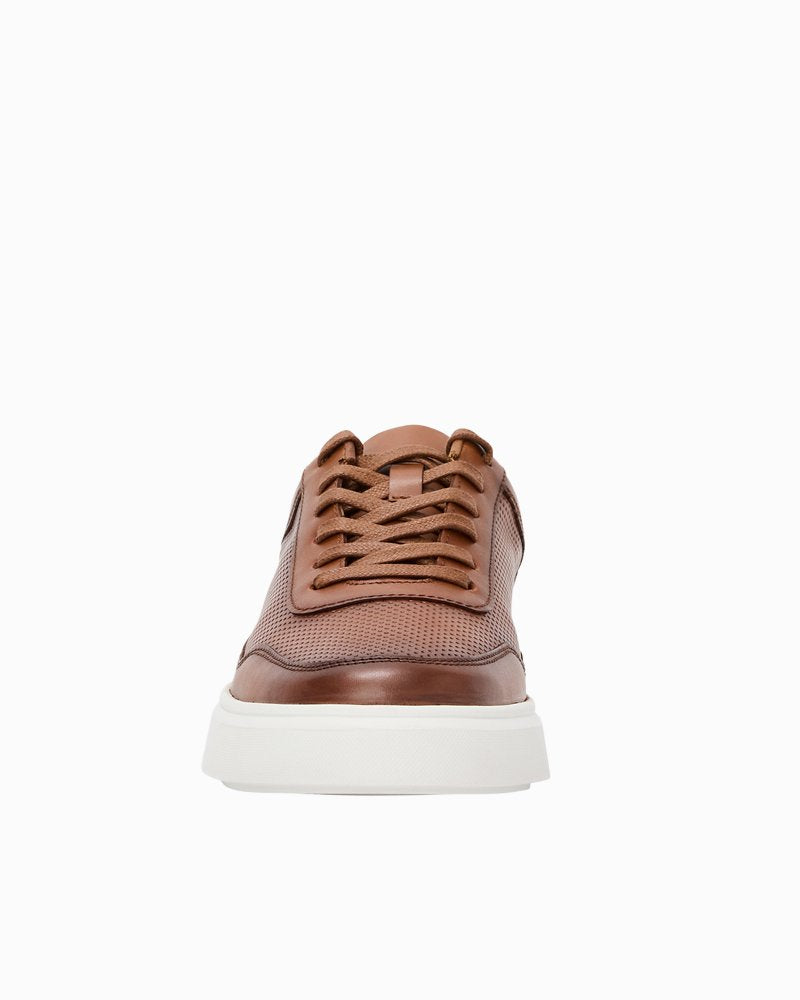 André Assous Andrew Cognac Leather Sneakers - Cognac