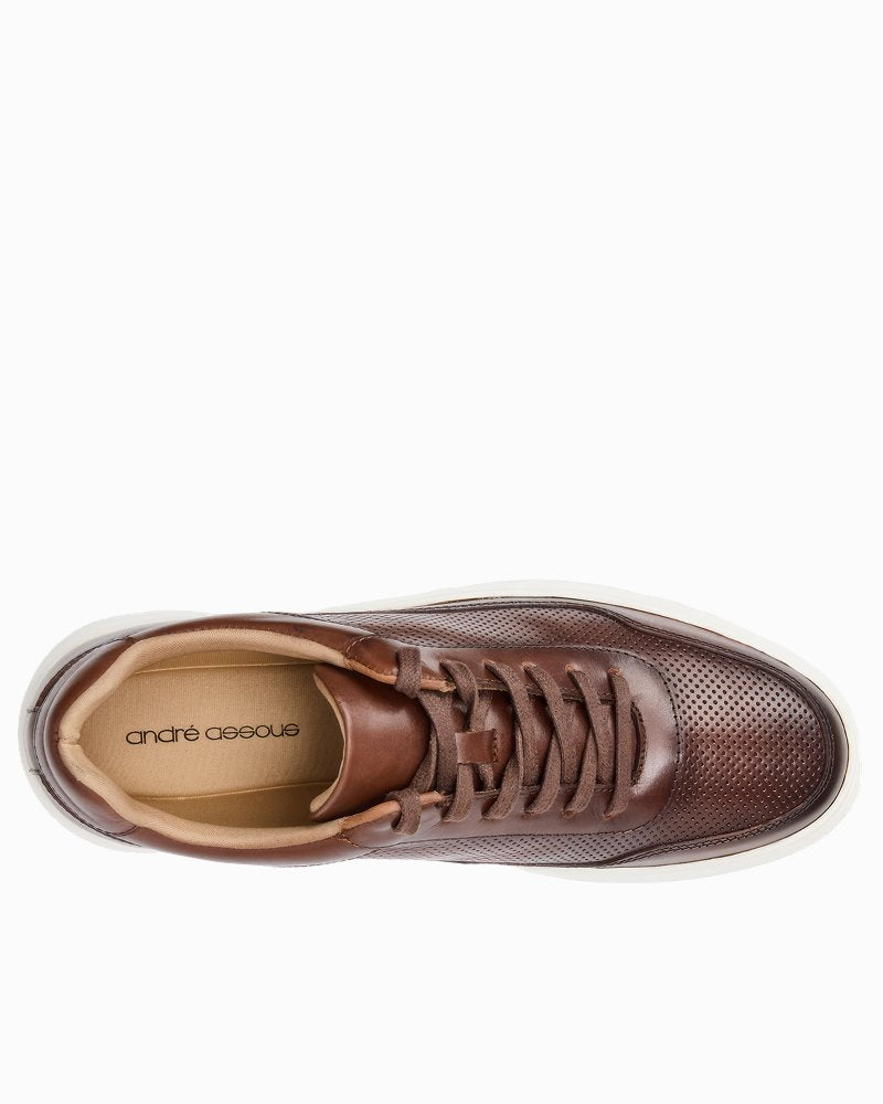André Assous Andrew Brown Leather Sneakers - Dark Brown