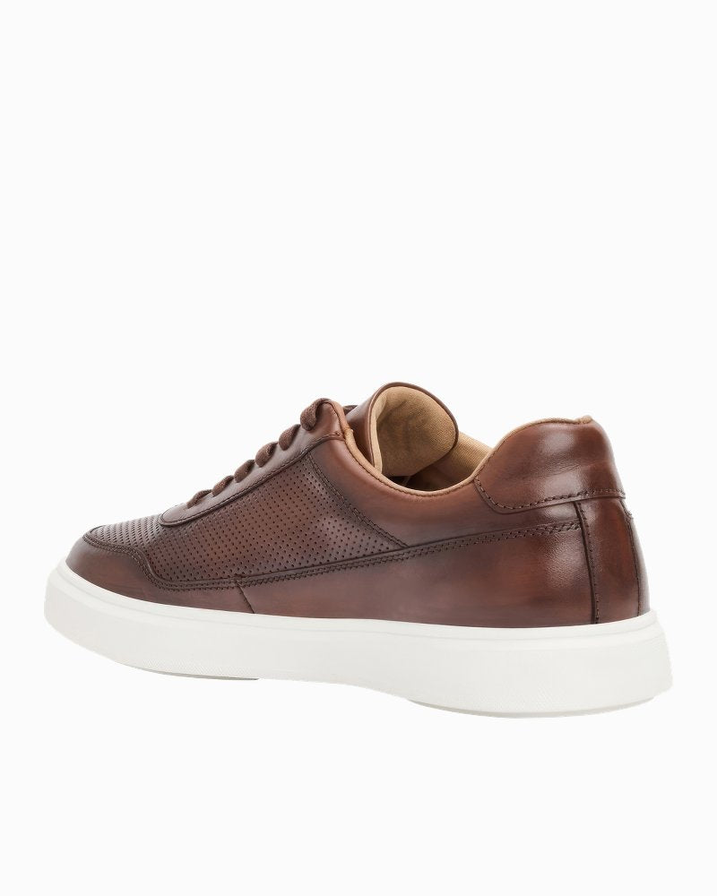 André Assous Andrew Brown Leather Sneakers - Dark Brown