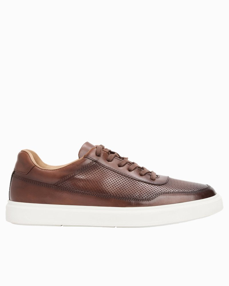 André Assous Andrew Brown Leather Sneakers - Dark Brown