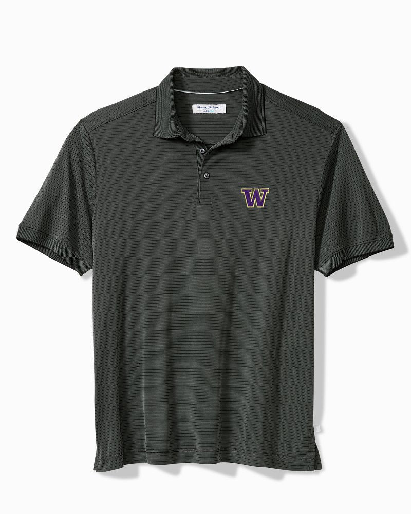 Big &amp; Tall Collegiate Bay Stripe IslandZone Polo - washington