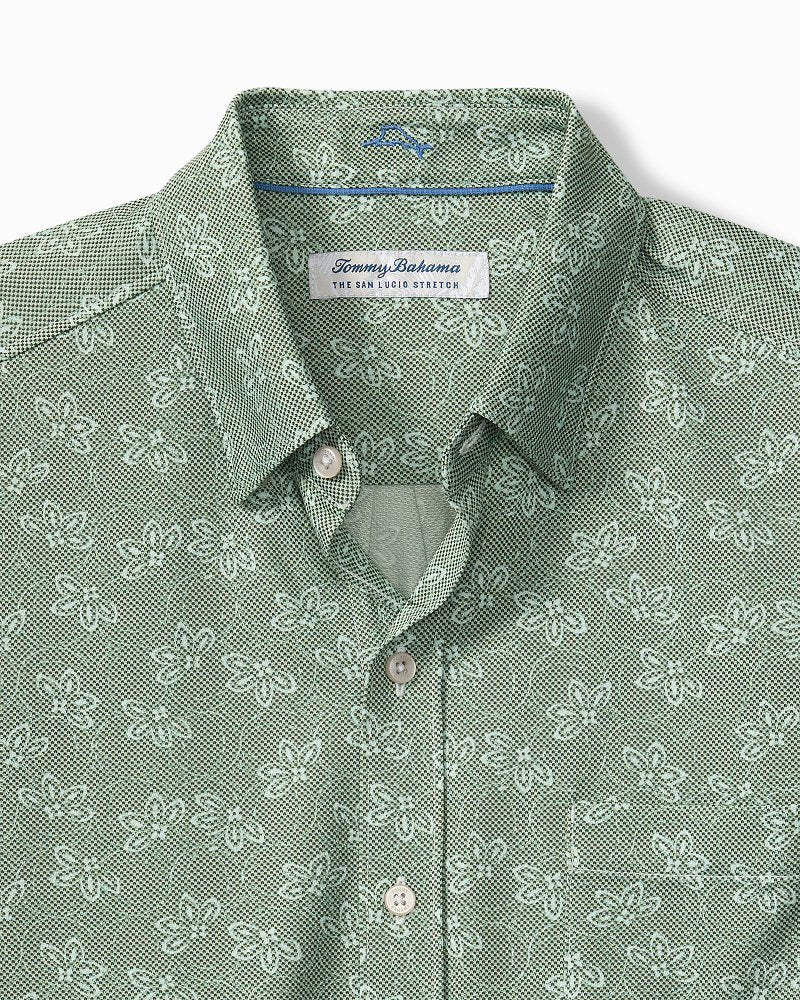 Big &amp; Tall San Lucio Lotus Stretch Knit Shirt - Highland Green