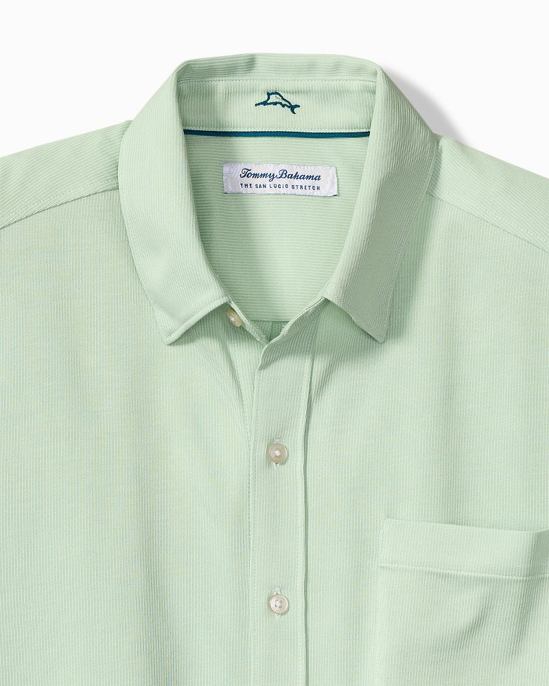 Big &amp; Tall San Lucio Sol Stripe Stretch Knit Shirt - Silky Green