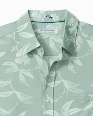 Big &amp; Tall San Lucio Gardenia Stretch Knit Shirt - Tropical Fern