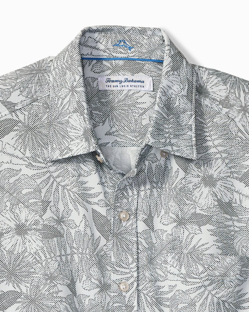 Big &amp; Tall San Lucio Villa Evora Stretch Knit Shirt - Gust