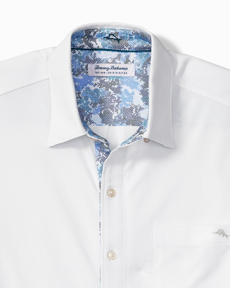Big &amp; Tall San Lucio Valega Happy Hour Stretch Knit Shirt - White