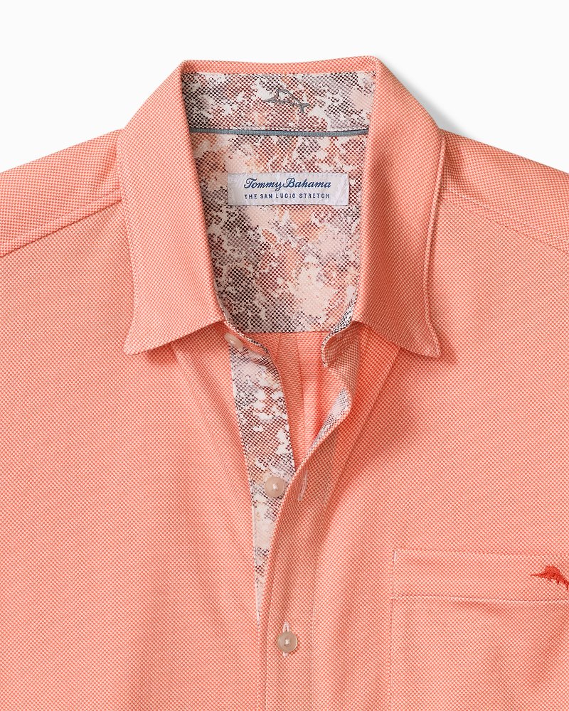 Big &amp; Tall San Lucio Valega Happy Hour Stretch Knit Shirt - Dark Coral
