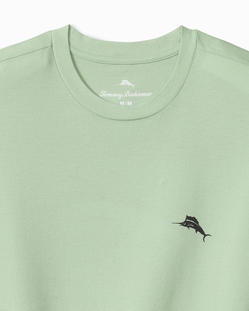 Big &amp; Tall For Your Finformation Graphic T-Shirt - Silky Green
