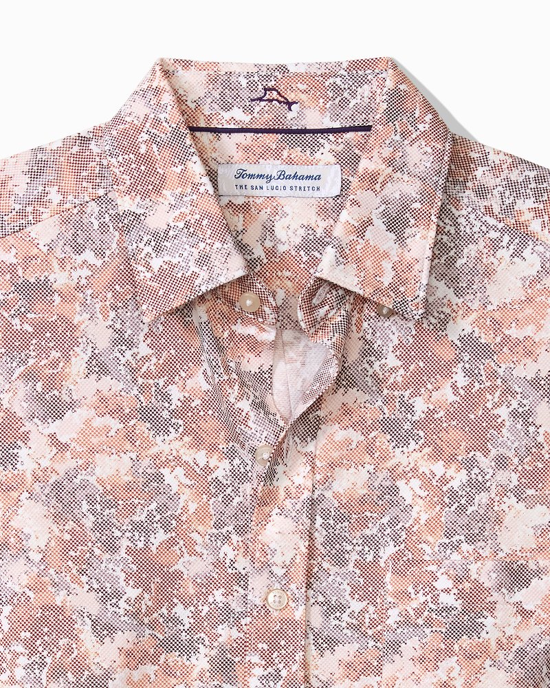 Big &amp; Tall San Lucio Valega Stretch Knit Shirt - Wild Aster