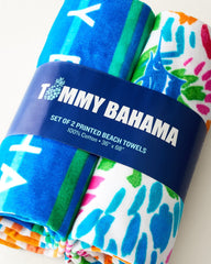 Beach Picnic &amp; Painterly Pineapple Beach Towels - Set of 2 - Multicolor