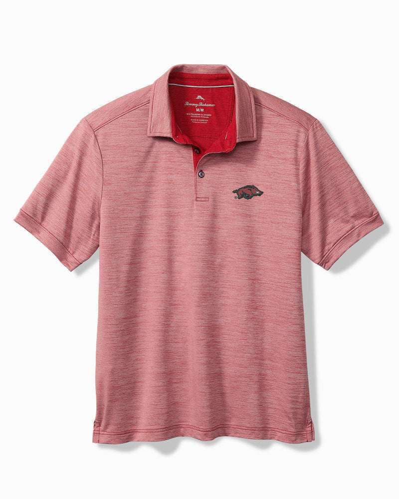 Collegiate San Raphael IslandZone Polo - Arkansas