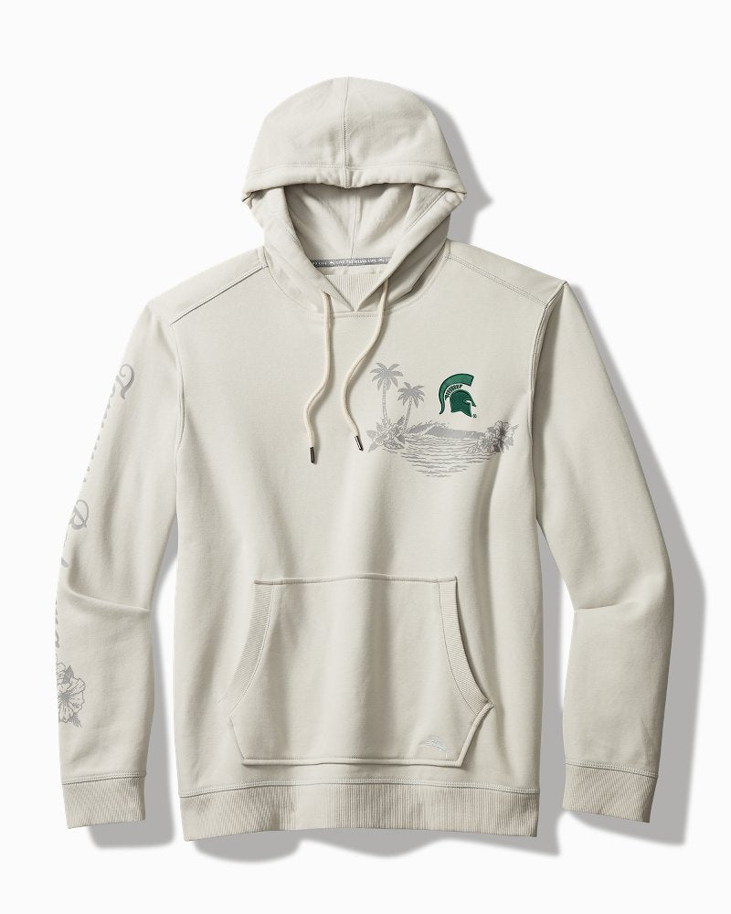 Collegiate Home Game Unisex Hoodie - michigan_state