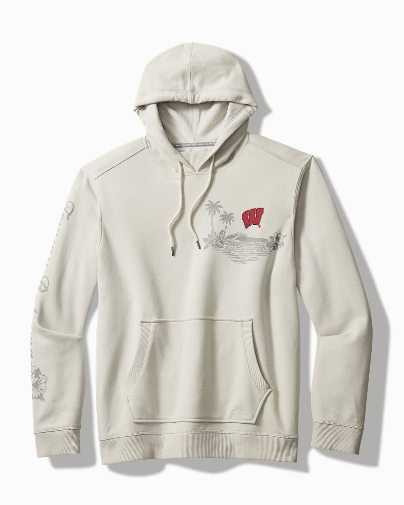 Collegiate Home Game Unisex Hoodie - wisconsin