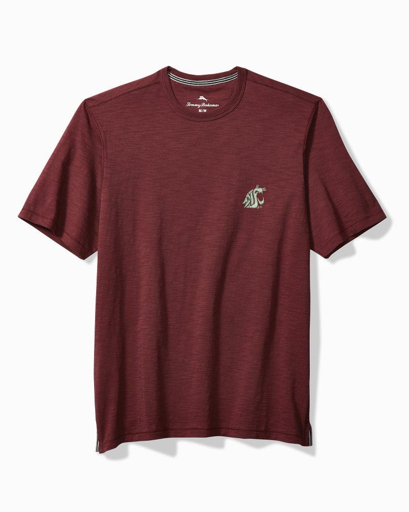 Collegiate Bali Beach Crew T-Shirt - washington_state