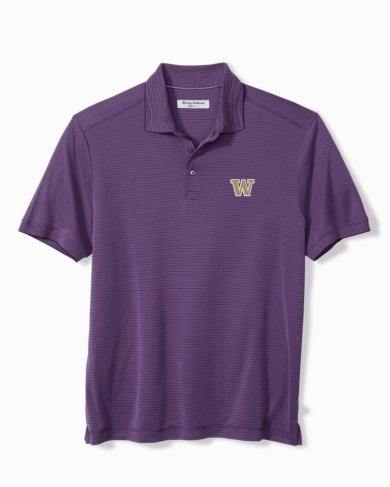 Collegiate Bay Stripe IslandZone Polo - washington