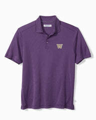 Collegiate Bay Stripe IslandZone Polo - washington