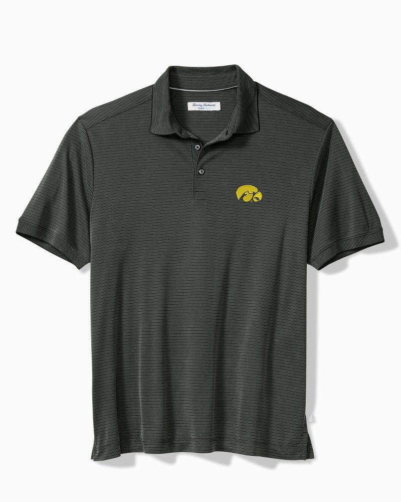Collegiate Bay Stripe IslandZone Polo - iowa