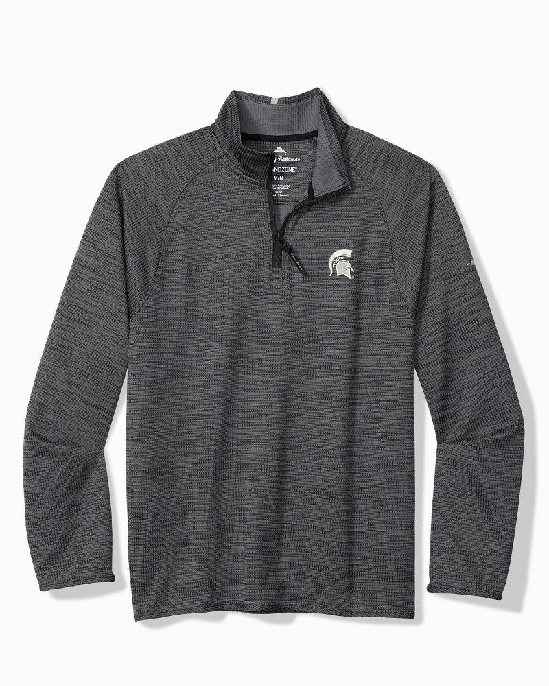 Collegiate Palm Pro Half-Zip IslandZone Sweatshirt - michigan_state