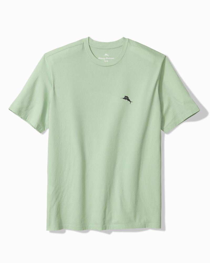 For Your Finformation Graphic T-Shirt - Silky Green
