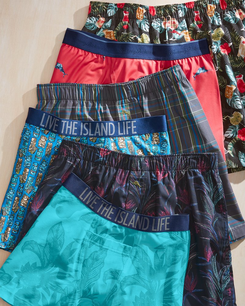 Cotton-Modal Boxer Briefs - 2-Pack - Blue Multi