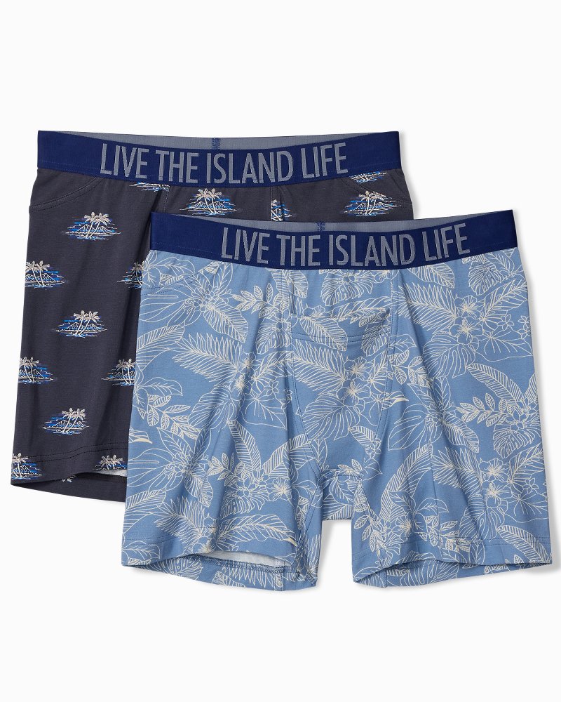 Cotton-Modal Boxer Briefs - 2-Pack - Blue/White