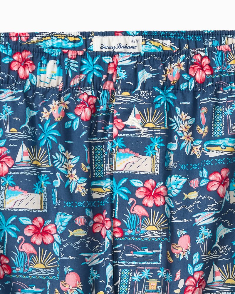 Big &amp; Tall Woven Poplin Print Boxers - Navy