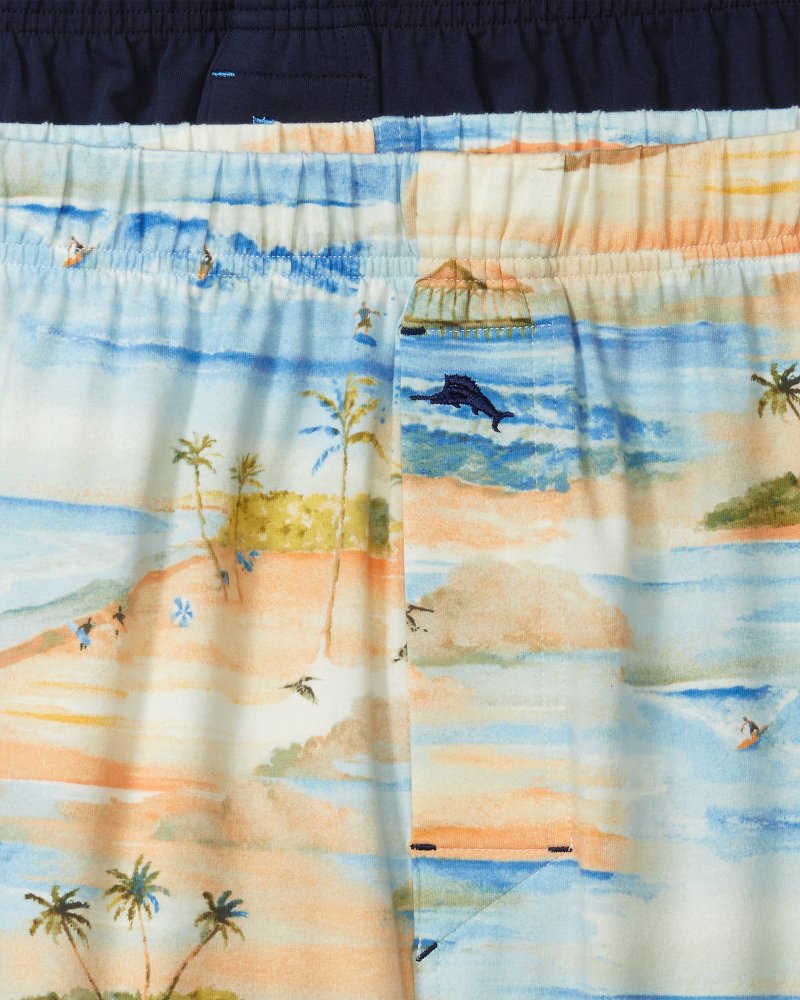Big &amp; Tall Print and Solid Knit Boxers — 2-Pack - Beach Blue