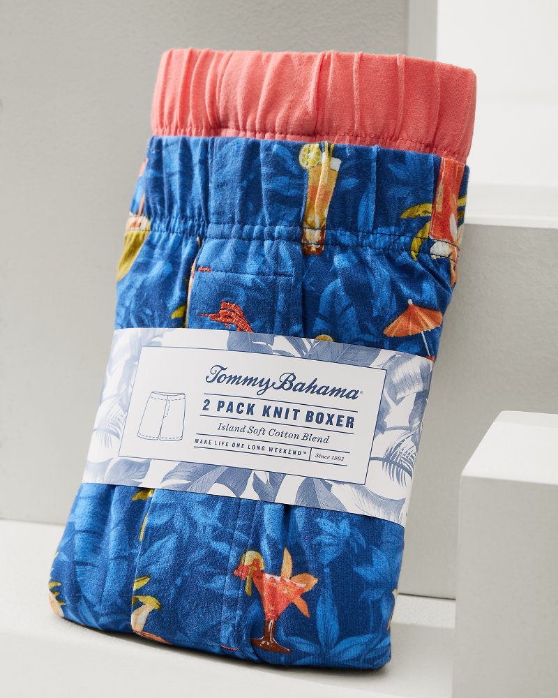 Print and Solid Knit Boxers — 2-Pack - Denim Blue